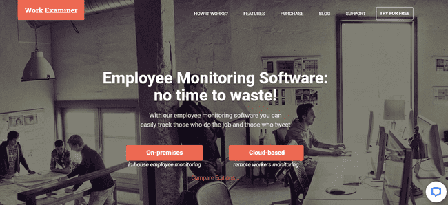 Employee monitoring tool Work Examiner